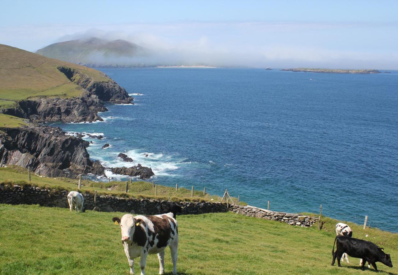 Dingle Harbour Cottages 3 Bed Sleeps 7 By Trident Holiday Homes Екстер'єр фото